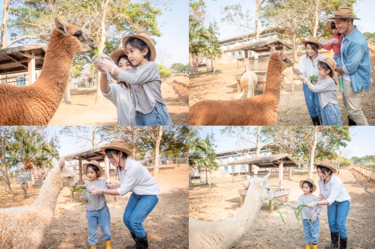 關西六福莊住宿 關西六福莊住宿