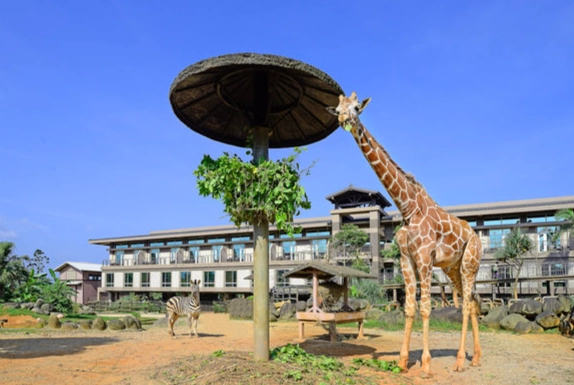 六福莊行程規劃