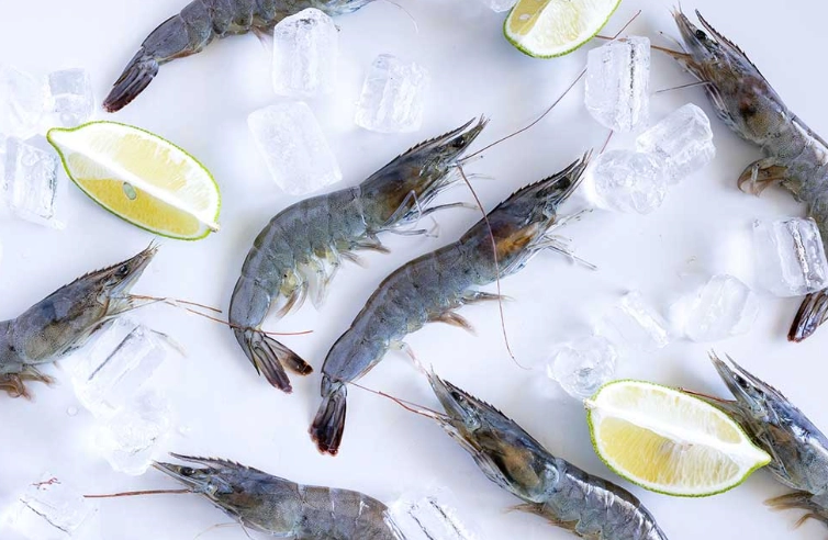 魚類解凍方法 魚類解凍方法