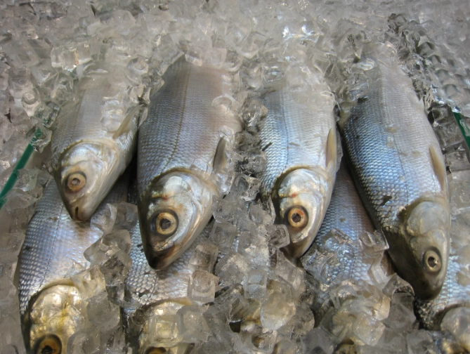 安全退冰技巧 安全退冰技巧