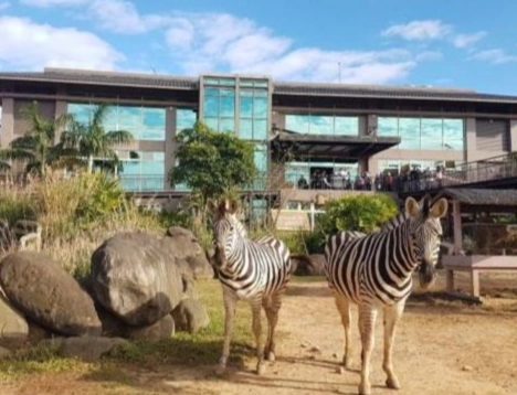 剛果自然風光 剛果自然風光