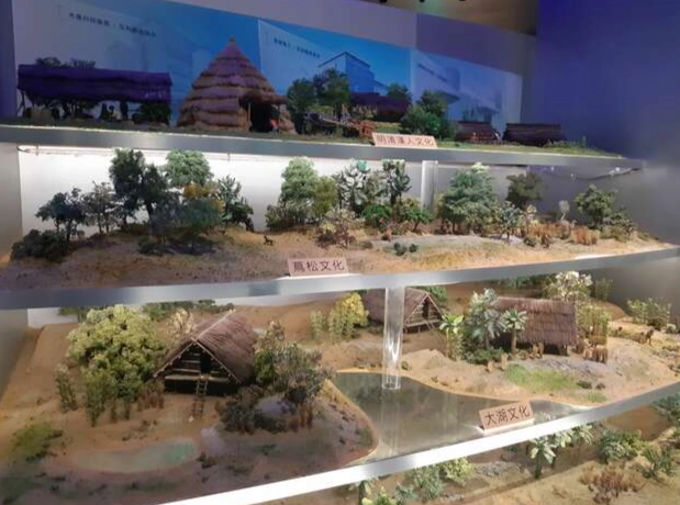 考古博物館活動