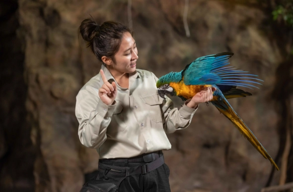 台灣動物體驗旅遊