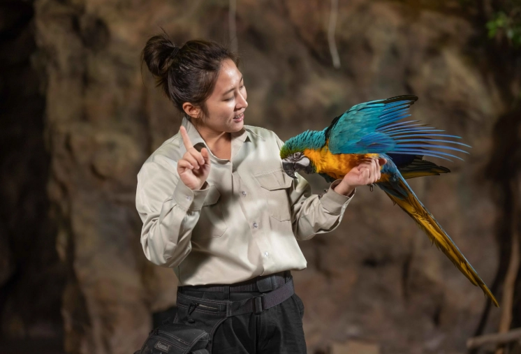 台灣家庭旅遊景點 台灣家庭旅遊景點