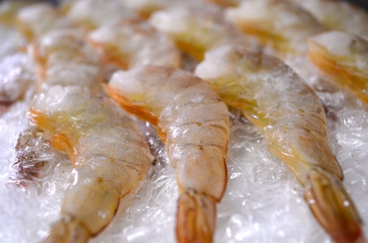 魚類解凍方法 魚類解凍方法