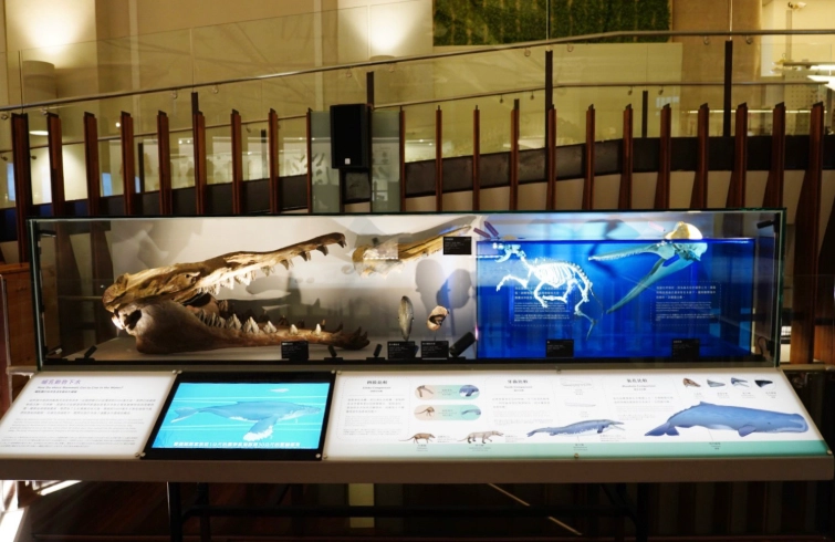 土銀展示館周邊小吃 土銀展示館周邊小吃