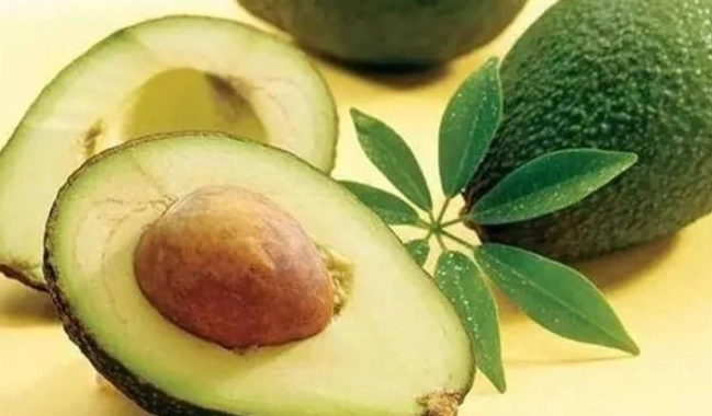 每日食用牛油果