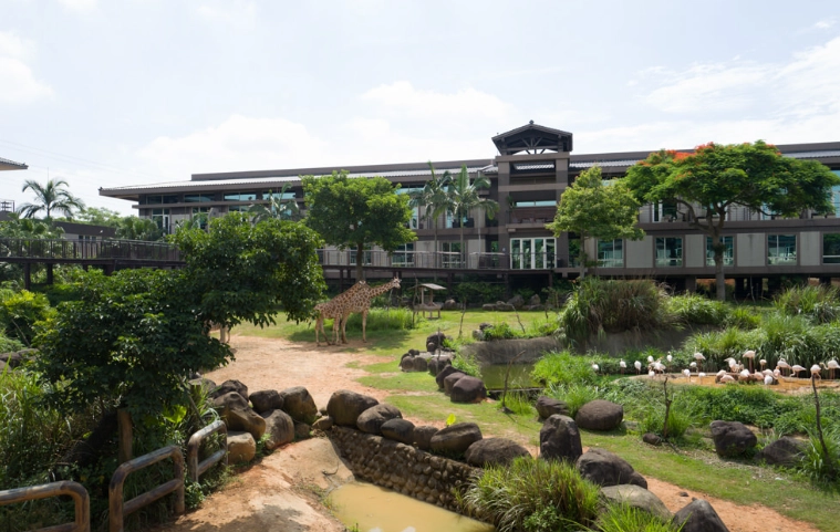 剛果綠地門票優惠 剛果綠地門票優惠