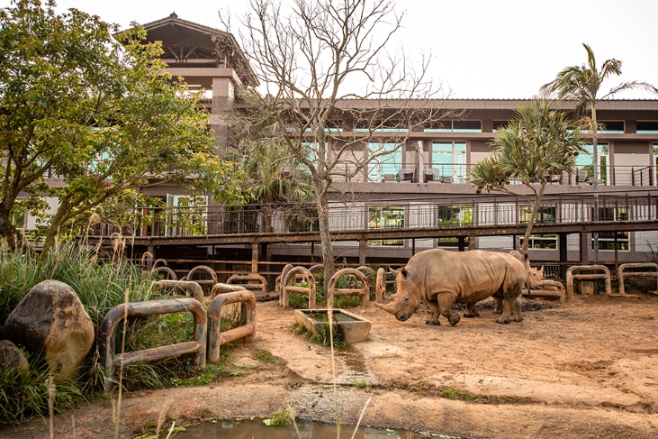 六福莊動物體驗 六福莊動物體驗