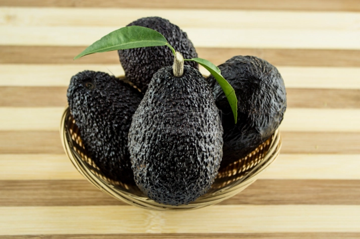 牛油果黑色條紋