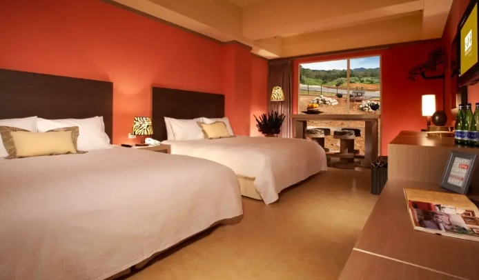 剛果藍天 剛果藍天