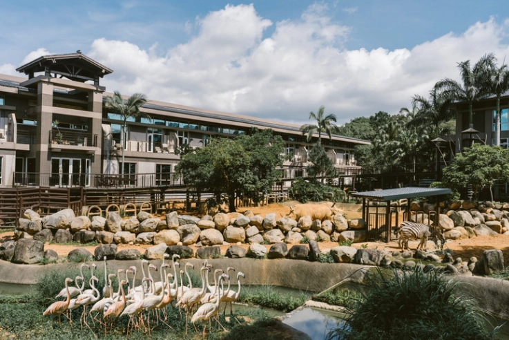 六福莊動物體驗 六福莊動物體驗