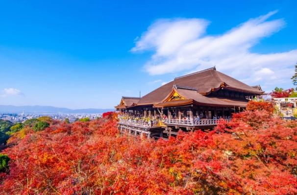 關西自由行 關西自由行