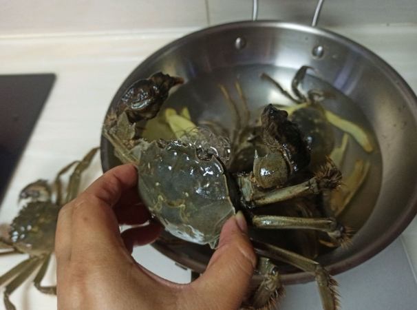 水煮螃蟹技巧 水煮螃蟹技巧