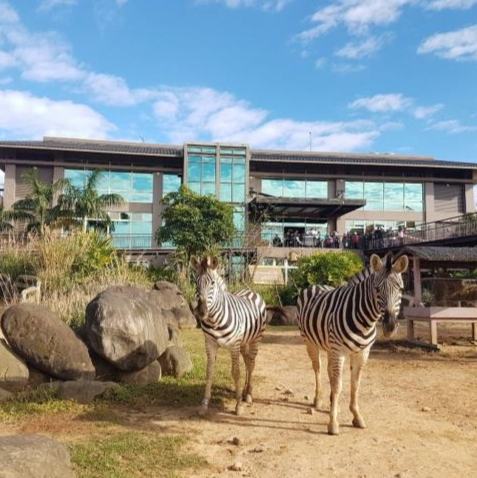 六福村剛果藍天