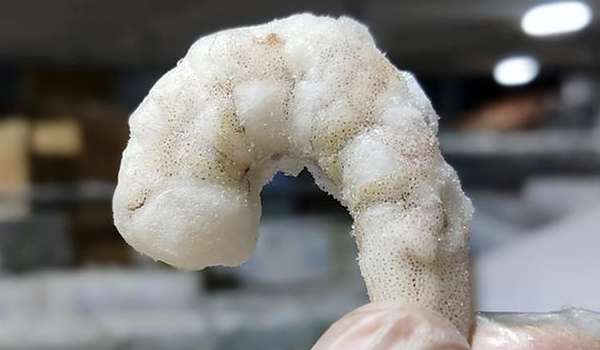 解凍蝦仁注意事項