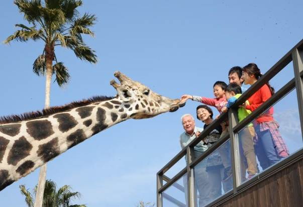 和歌山親子旅遊 和歌山親子旅遊