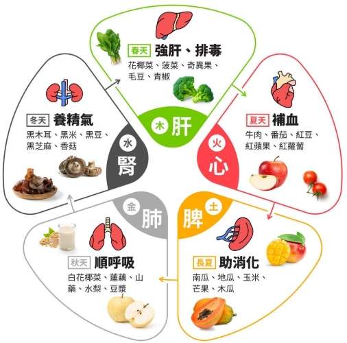 中醫食療脂肪肝
