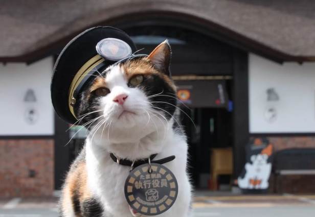 和歌山家庭景點 和歌山家庭景點