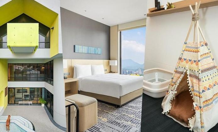 带宠物住宿注意事項 带宠物住宿注意事項