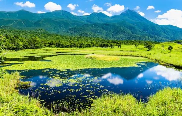 北海道旅遊自駕
