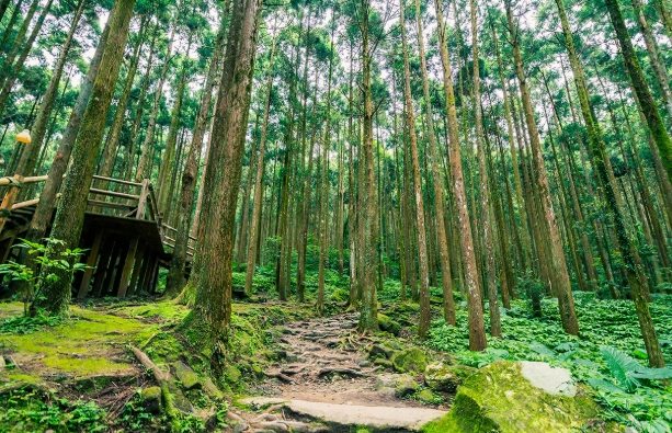 新竹旅遊攻略 新竹旅遊攻略