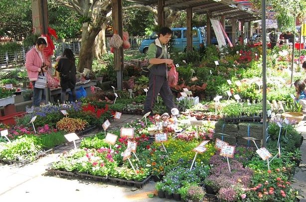 竹北花市 推薦花店