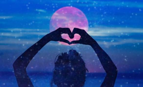 摩羯座金星配對