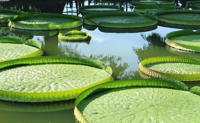 新北農場體驗 新北農場體驗