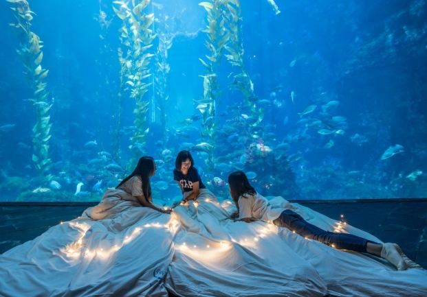 屏東旅遊規劃 屏東旅遊規劃