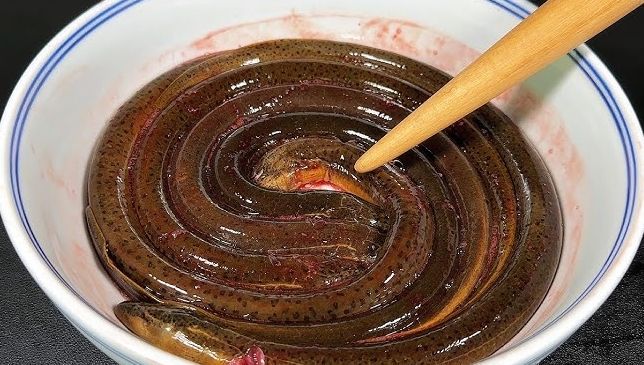 台灣熱炒鱔魚 台灣熱炒鱔魚