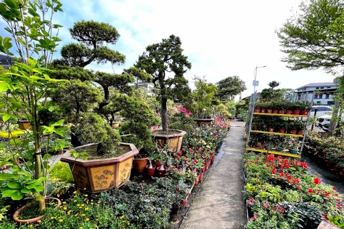 竹北花市 營業時間