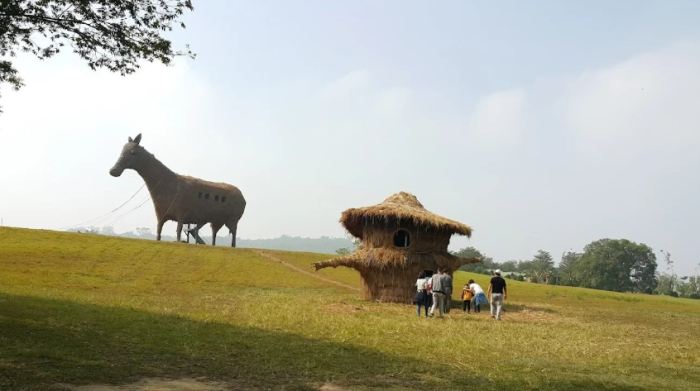 台灣農場歷史 台灣農場歷史