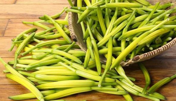 黃花菜營養 黃花菜營養