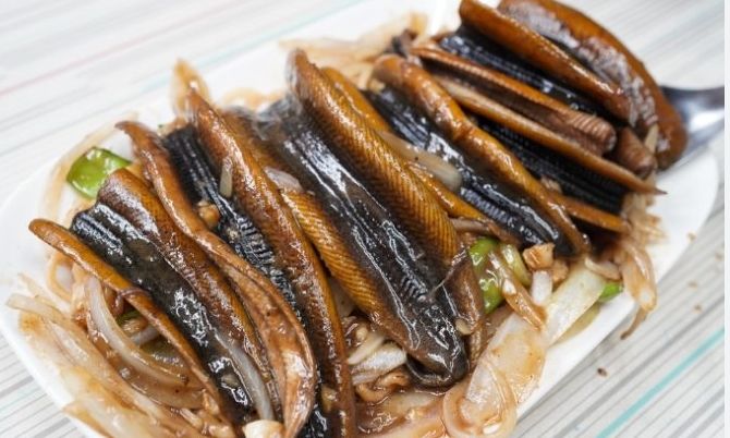 鱔魚處理技巧 鱔魚處理技巧