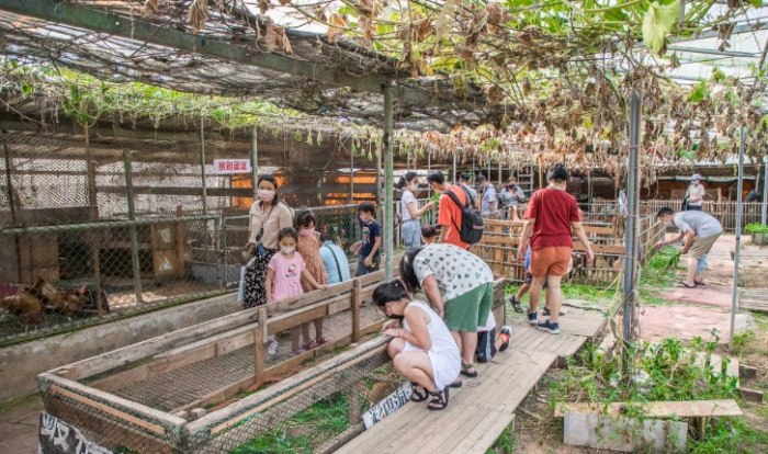 桃园亲子农场 桃园亲子农场