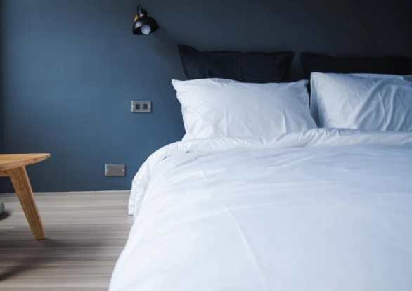 基隆帶寵物住宿 基隆帶寵物住宿