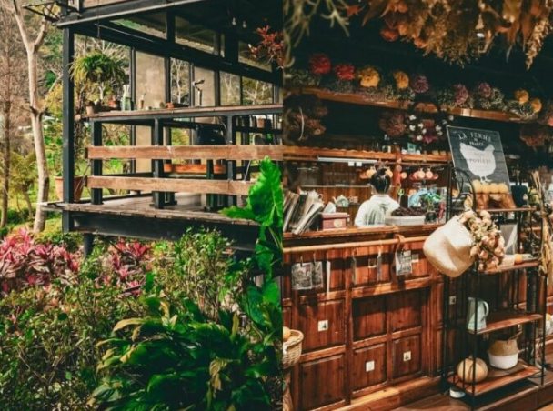 桃园情侣景点 桃园情侣景点