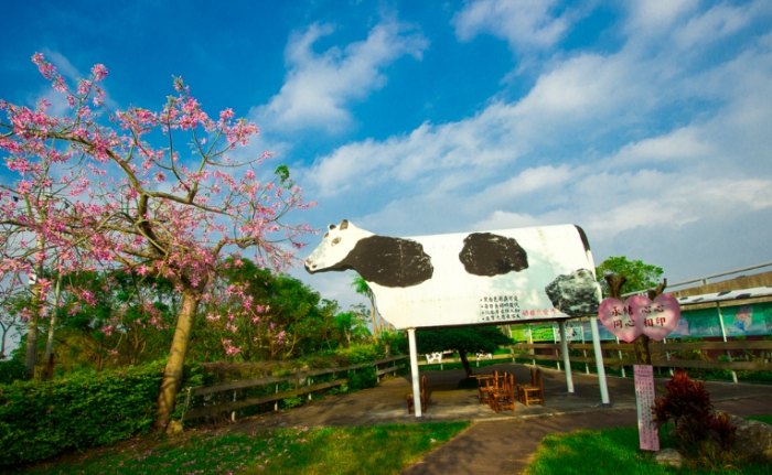 南投休閒農場旅遊