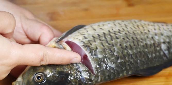 台灣青魚料理