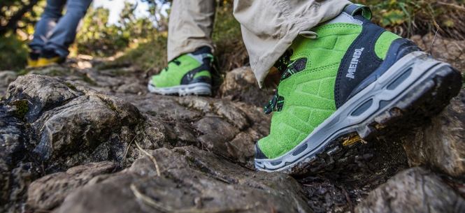 螢火蟲觀賞攻略