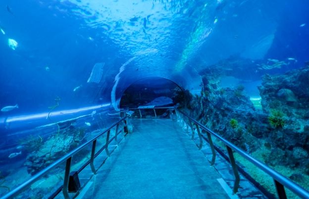海生館夜宿體驗 海生館夜宿體驗