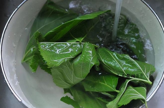 重複煮水健康影響