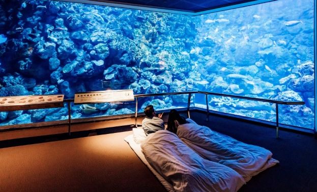 屏東旅遊規劃 屏東旅遊規劃