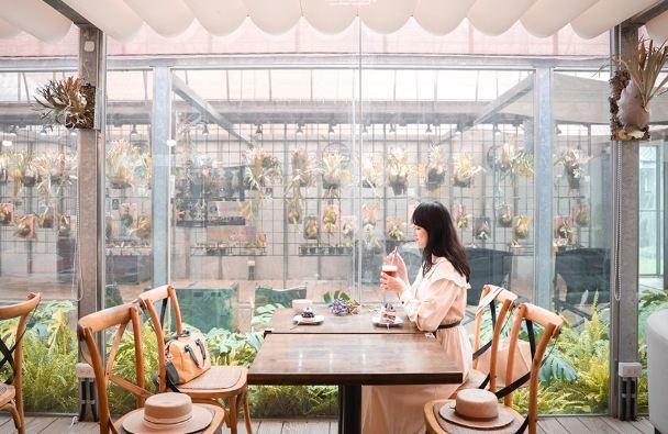 新竹下雨去哪裡