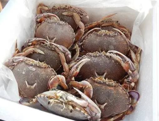 冷凍螃蟹解凍方法