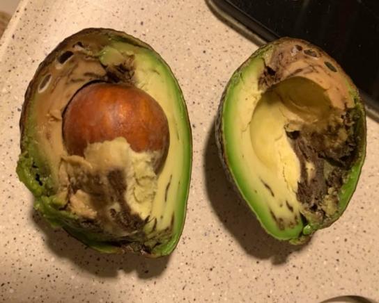 酪梨保存方法 酪梨保存方法