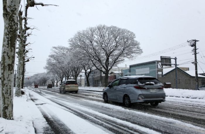北海道自驾冬天