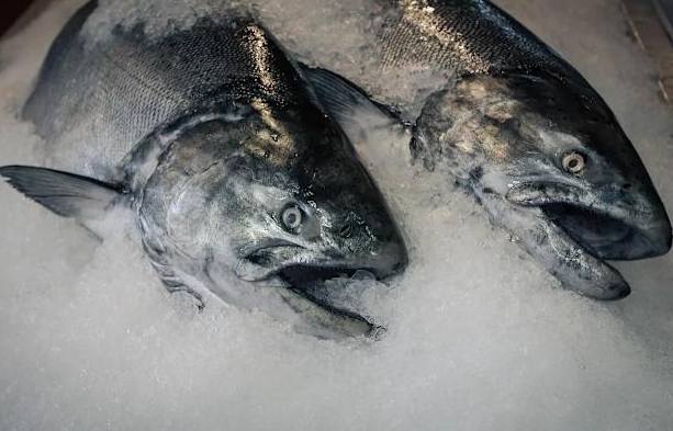 魚解凍方法 魚解凍方法