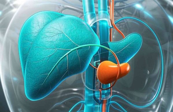 脂肪肝飲食菜單